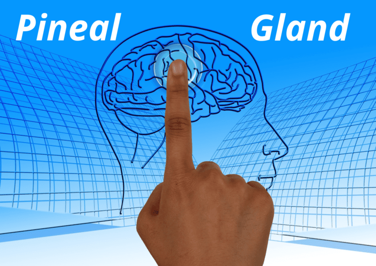 A Simple Guide to Detoxify the Pineal Gland